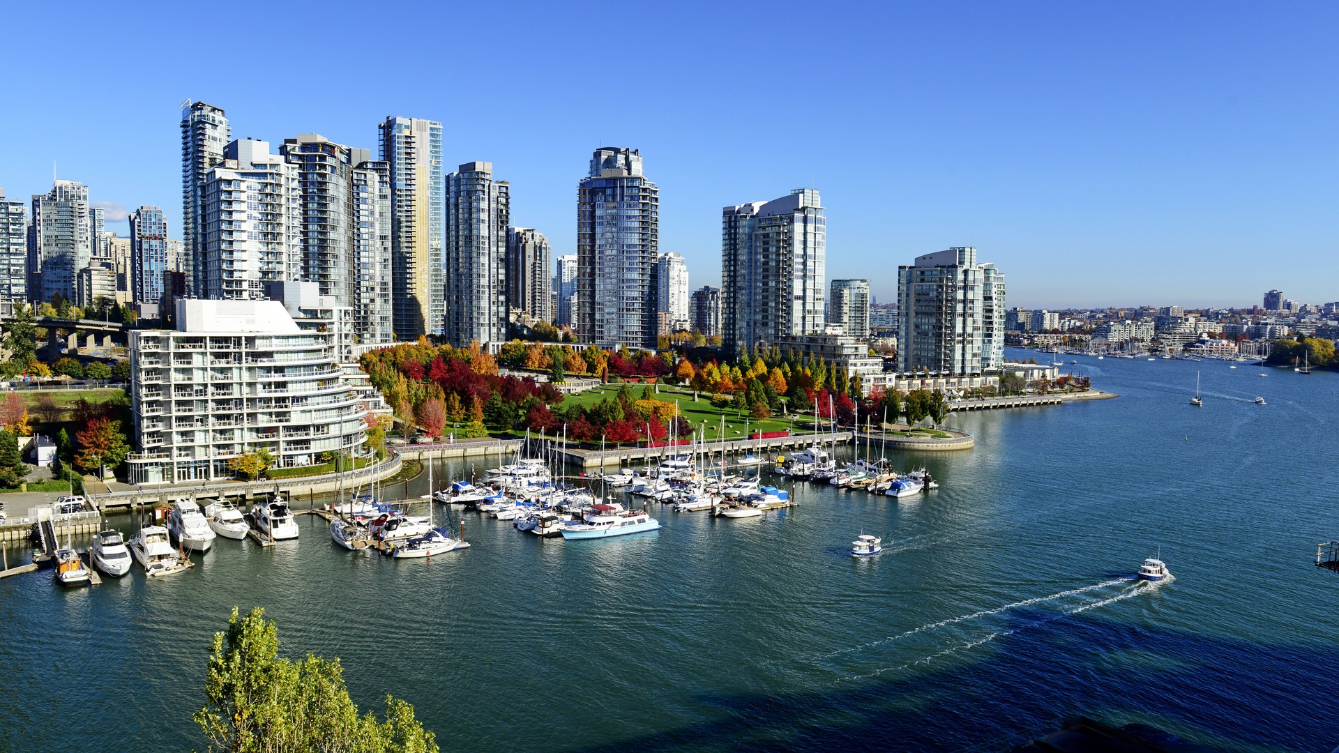 Autumn landscape of false creek in Vancouver downtown
